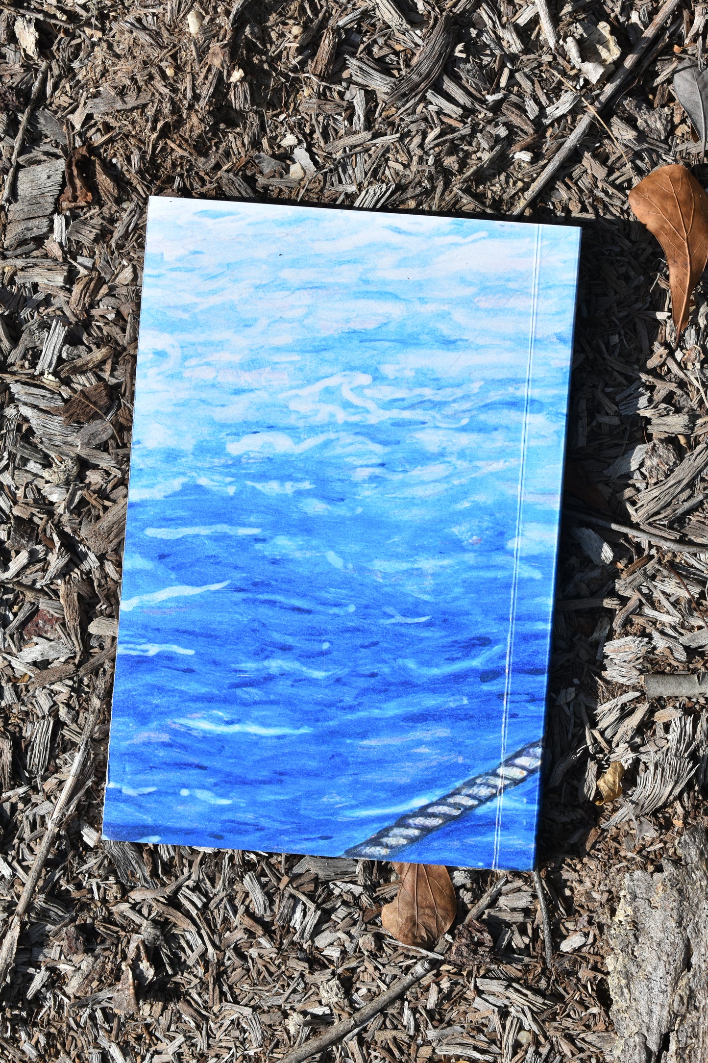 Navigating Wisdom Community